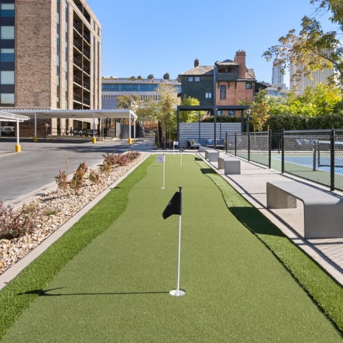 a grassy area with a fence and buildings in the background with High Line in the background